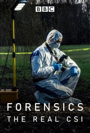 Poster Forensics: The Real CSI Season 4 Body in the Freezer 2024