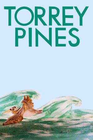 Image Torrey Pines