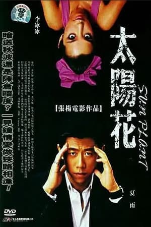 Poster 太阳花 2001