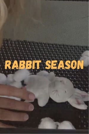 Image Rabbit Season