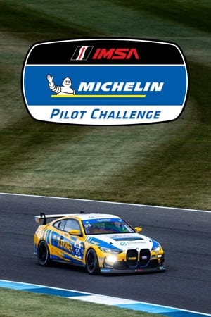 Image IMSA Michelin Pilot Challenge