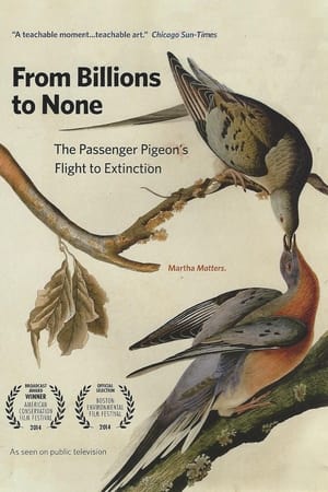Poster From Billions to None: The Passenger Pigeon's Flight to Extinction 2014
