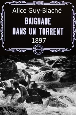 Poster Baignade dans le torrent 1897