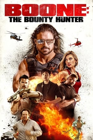 Poster Boone: The Bounty Hunter 2017