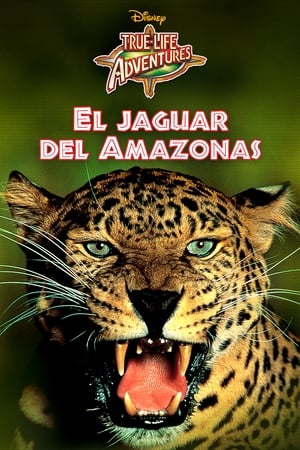 Image El jaguar del Amazonas