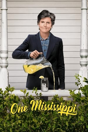 Poster One Mississippi 2016