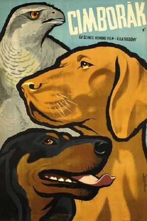 Poster Cimborák - Nádi szélben 1958