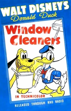 Image Limpiadores de ventanas