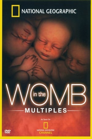 Poster In the Womb: Multiples 2007