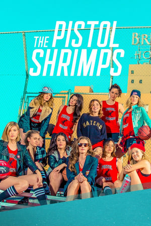 Poster The Pistol Shrimps 2016