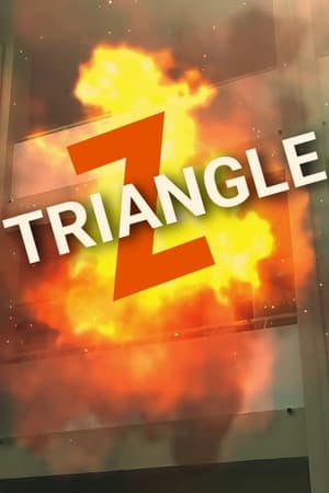 Image Triangle Z