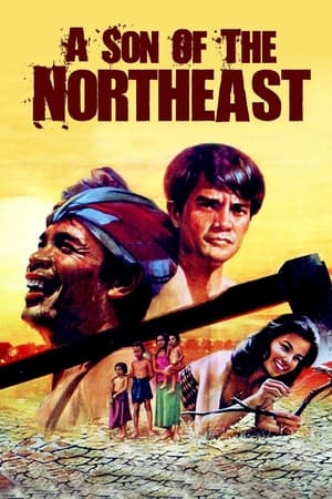 Poster A Son of the Northeast 1982