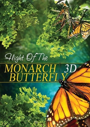 Image Невероятное путешествие бабочек Монарх