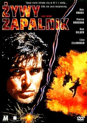 Poster Żywy Zapalnik 1992