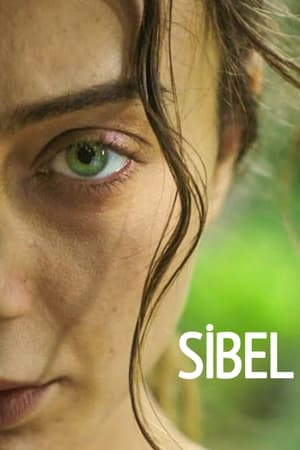 Poster Sibel 2019