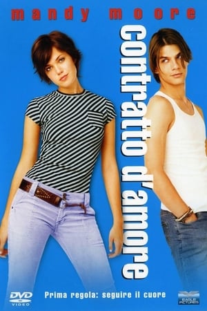 Poster Contratto d'amore 2003