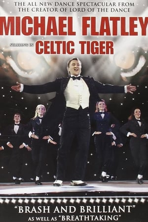 Poster Celtic Tiger 2005