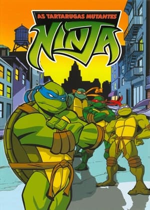 Poster Teenage Mutant Ninja Turtles Temporada 3 Episódio 17 2005