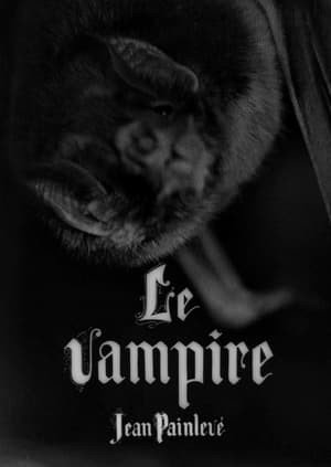 Image Le vampire