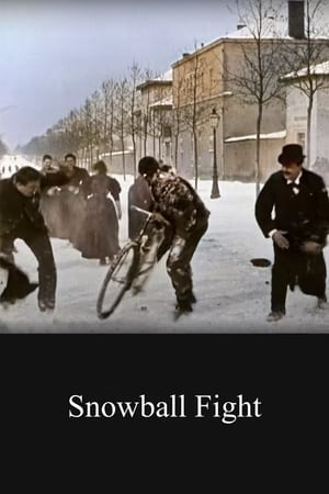 Poster Snowball Fight 1897