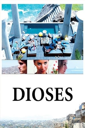 Poster Dioses 2008