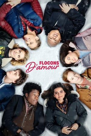 Poster Flocons d'amour 2019