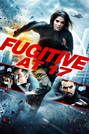 Poster Fugitive at 17 2012