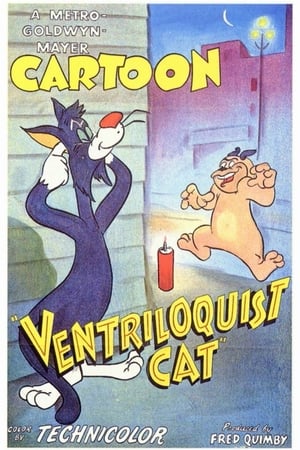 Poster Ventriloquist Cat 1950