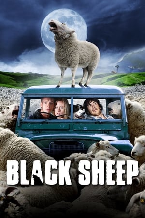 Image Černé ovce