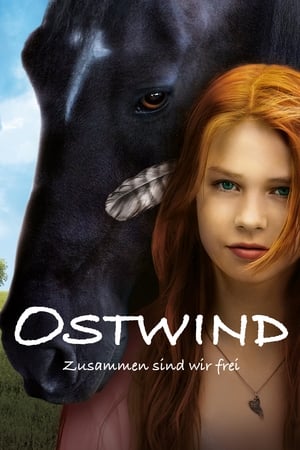 Poster Ostwind 2013