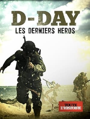 Poster D-Day - Les derniers héros 2013