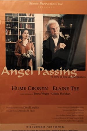 Poster Angel Passing 1998