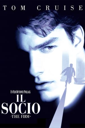 Poster Il socio 1993