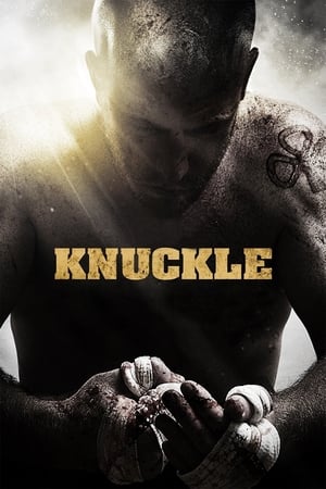 Poster Knuckle 2011