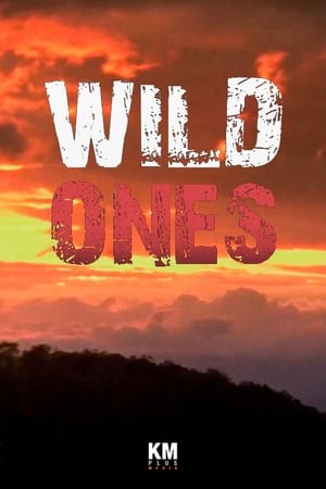 Poster Wild Ones 2014