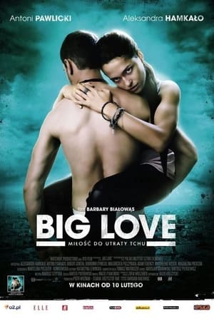 Poster Big Love 2012