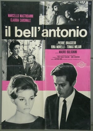 Poster Μπελ Αντόνιο 1960