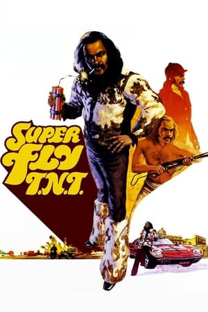 Poster Super Fly T.N.T. 1973