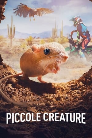 Poster Piccole creature 2020