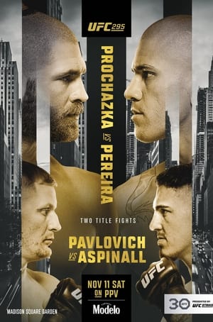 Poster UFC 295: Prochazka vs. Pereira 2023