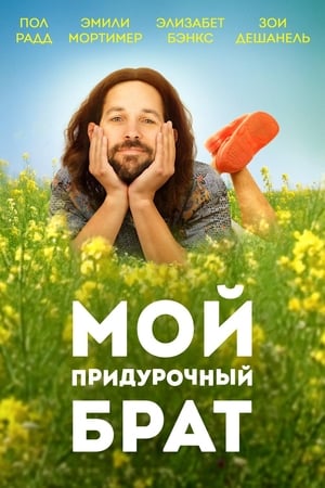Poster Мой придурочный брат 2011