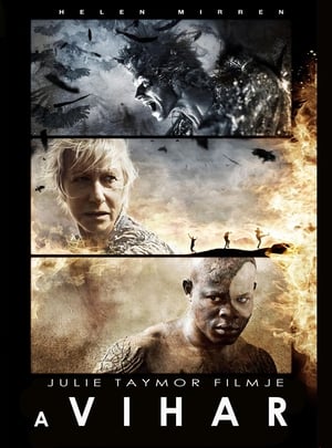 Poster A vihar 2010