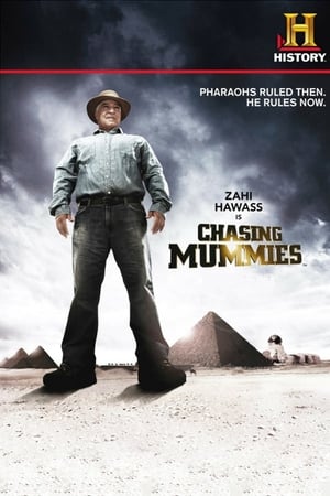Poster Chasing Mummies 2010