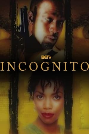Poster Incognito 1999