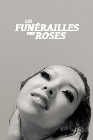 Image Les Funérailles des roses