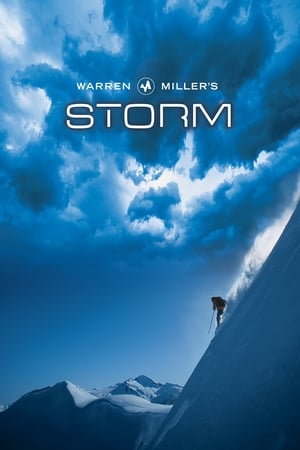 Poster Storm 2002