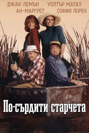 Poster По-сърдити старчета 1995