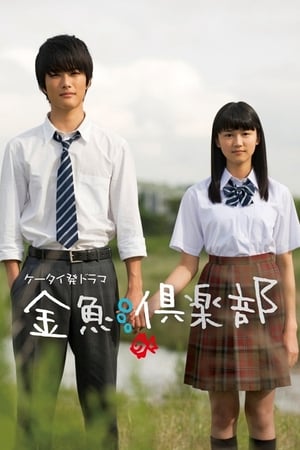 Poster 金魚倶楽部 2011