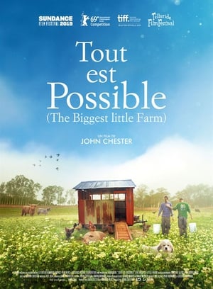 Poster Tout est possible (The Biggest Little Farm) 2019