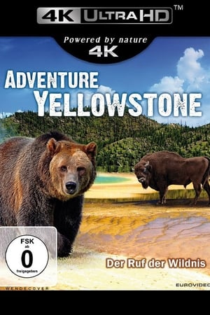 Poster Adventure Yellowstone - Der Ruf der Wildnis 2013